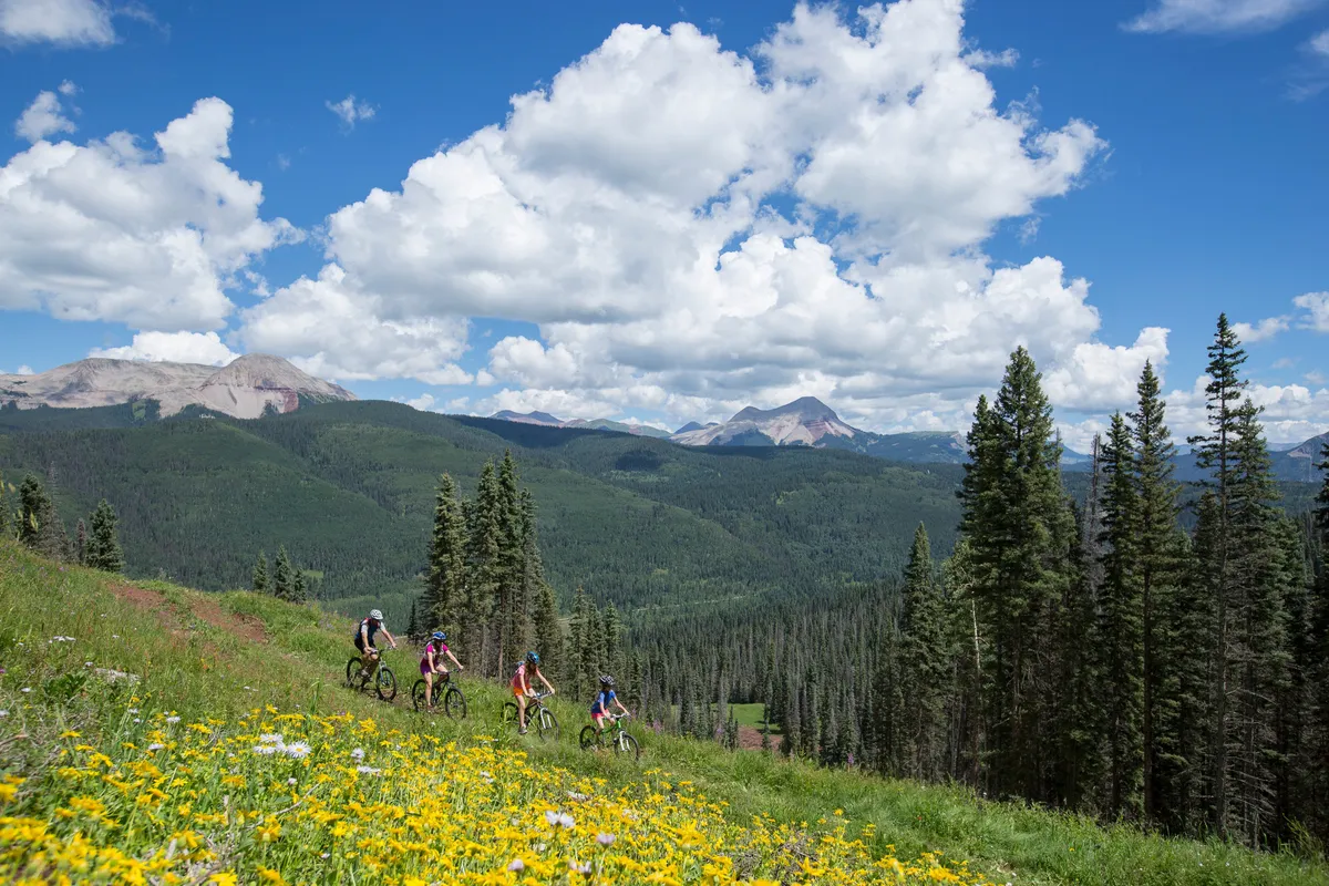 This image captures an expansive mountain range under a cloudy sky, with bikers riding along scenic trails surrounded by wildflowers. The perspective showcases the thrill of outdoor adventure and the natural beauty that defines the area.